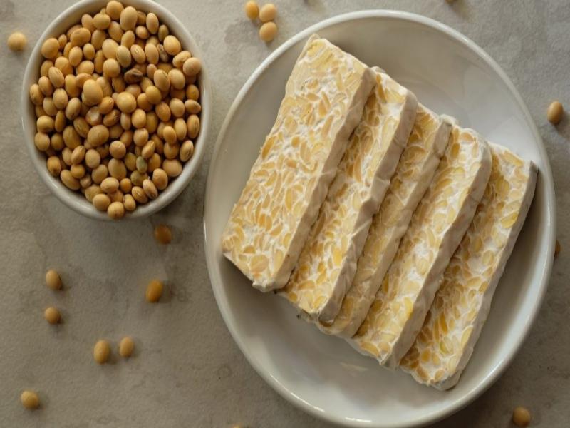 Bánh Tempeh là lựa chọn tuyệt vời để mang về làm quà khi đến Indo